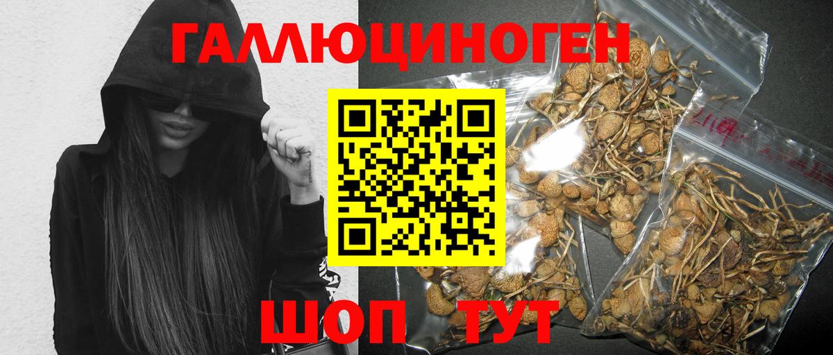 Ижевск  Псилоцибиновые грибы Psilocybine cubensis  Вход с VPN 